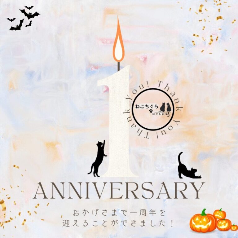 お久しぶりのほぐしや.comです